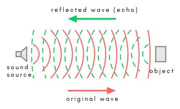 How echoes are produced.